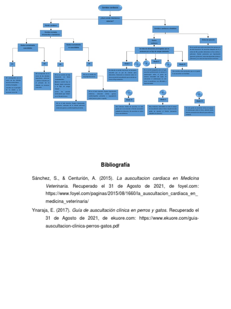 Sonidos Cardiacos Pdf Fisiología Enfermedades Cardiovasculares