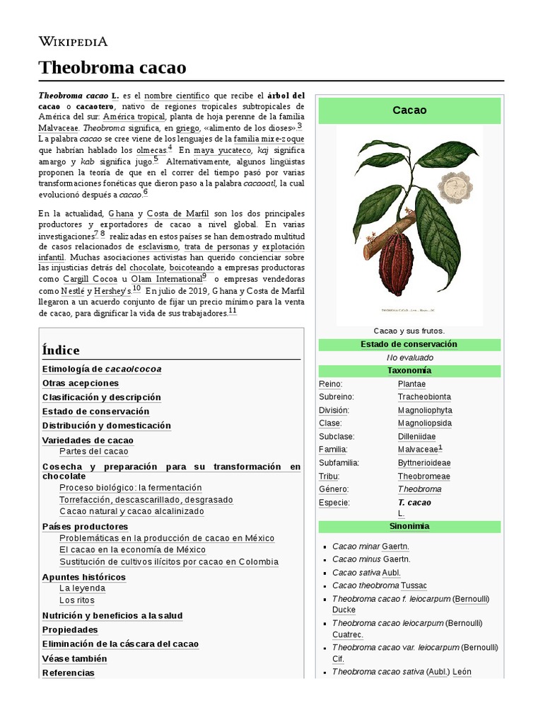 Theobroma Cacao | PDF