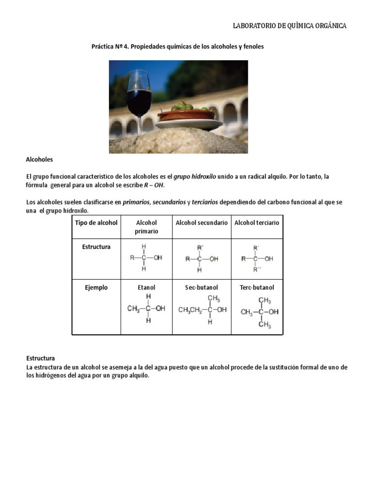 P4 Propiedades Químicas Alcoholes y Fenoles PDF Etanol Metanol