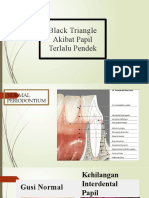 BLACK TRIANGLE, Scrib