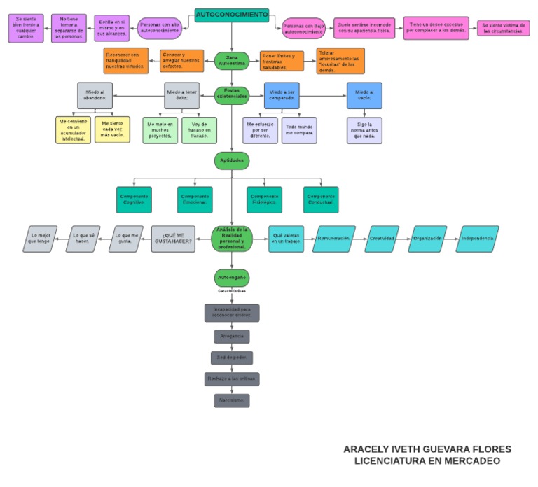 Mapa Conceptual del Autoconocimiento | PDF | Narcisismo | Cognición