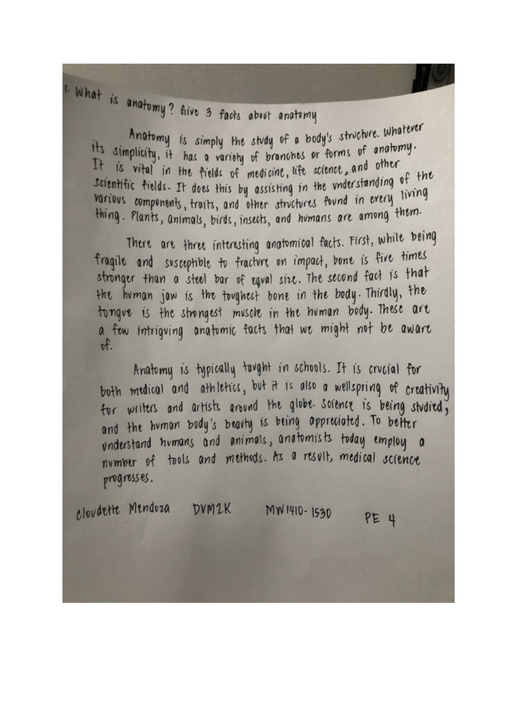 ANATOMY AND PHYSIOLOGY 2 LECTURE NOTES PDF visual data 3