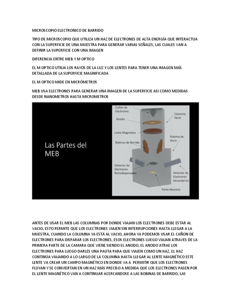 Microscopio Electronico De Barrido Pdf Microscópio Electrónico