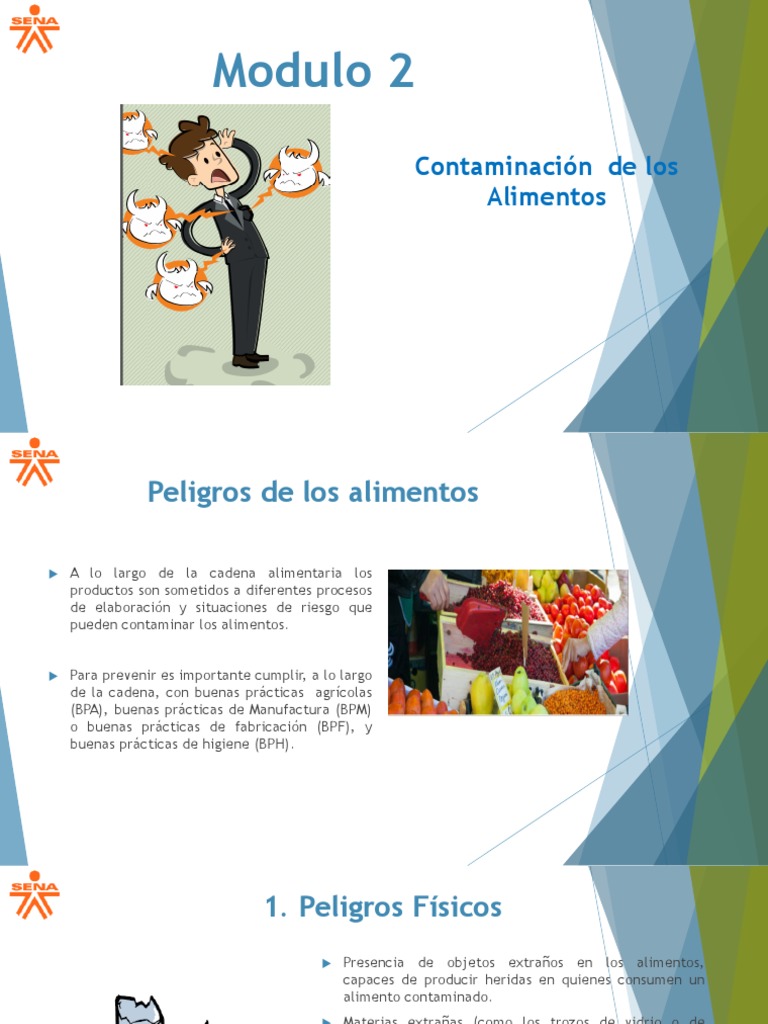Tipos de Contaminación Alimentaria | PDF | Alimentos | Contaminación