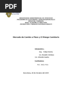 Mercado Cambiario a Plazos
