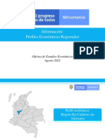 OEE FP Perfil Region Eje Cafetero Sin Antioquia 29ago2022