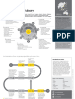 EY FSO Advisory Leaflet