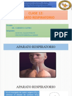 Aparato Respiratorio