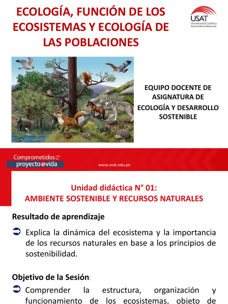 Presentación de PowerPoint | PDF | Ecología | Ecosistema