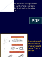 Classification