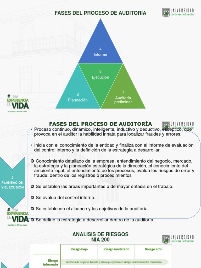 Fases del Proceso de Auditoría | PDF