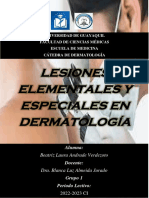 Lesiones Elementales y Especiales en Dermatologia