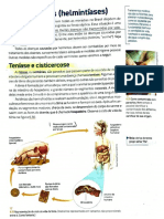 Verminoses e Micoses