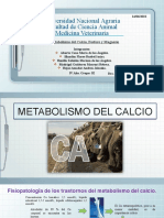 Fisiopatología Del Metabolismo CA, P, MG