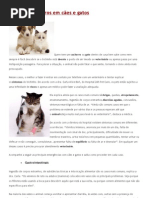 Primeiros socorros simples