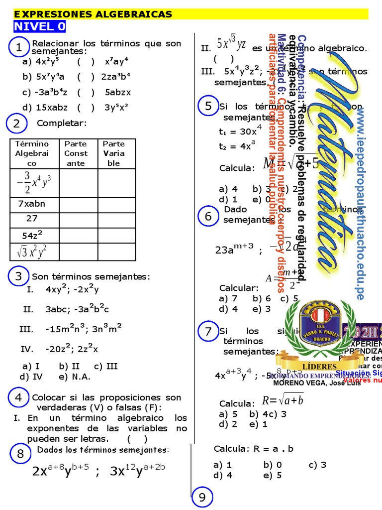Expresiones Algebraicas | PDF | Métodos y materiales de enseñanza
