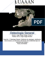 Osteología General. Segunda Tarea. JORGE VARGAS VARGAS - Primer Semestre - GRUPO 9 - UAAAN