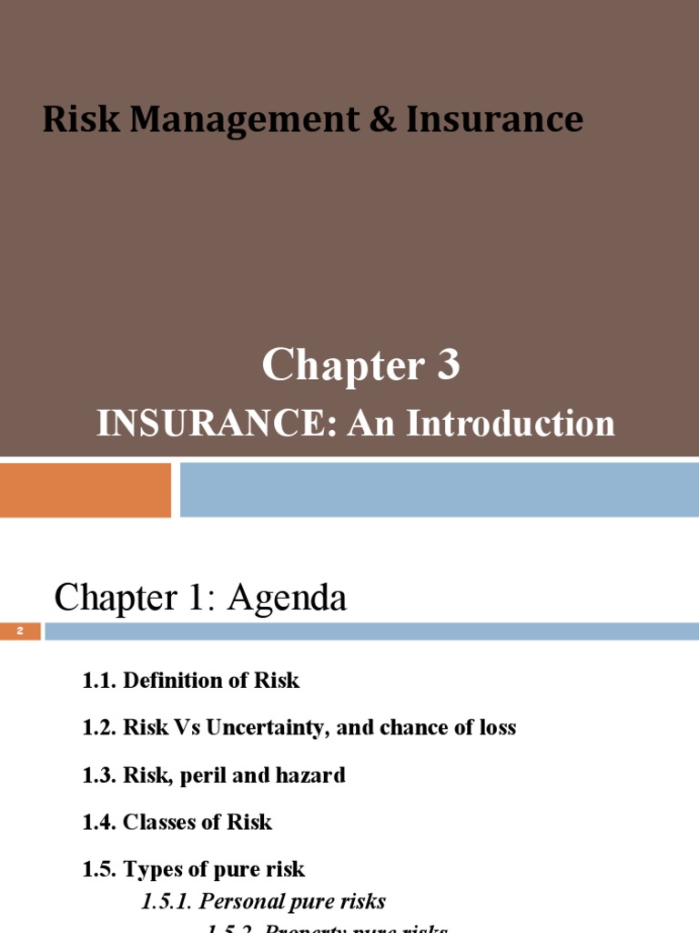 Risk Managemennt Chapter 3 | PDF