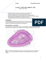 Phys 6.4 H-P-Adrenal Axis NOTES