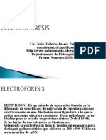 Electroforesis Capilar1