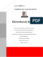 Electroforesis de ADN