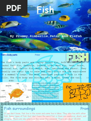 Fish