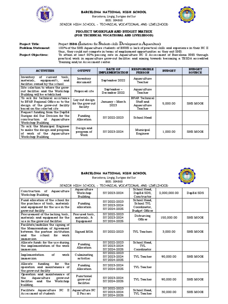 project-workplan-budget-matrix-pdf