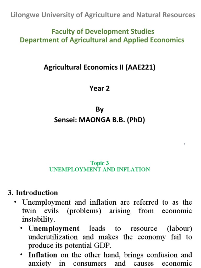 Unemployment and Inflation Analysis | PDF | Cost Of Living | Inflation