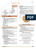 NEUR-B-S03-T04-Cranial Nerves VII-XII