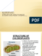 4 - Kloroplast PDF - En.id