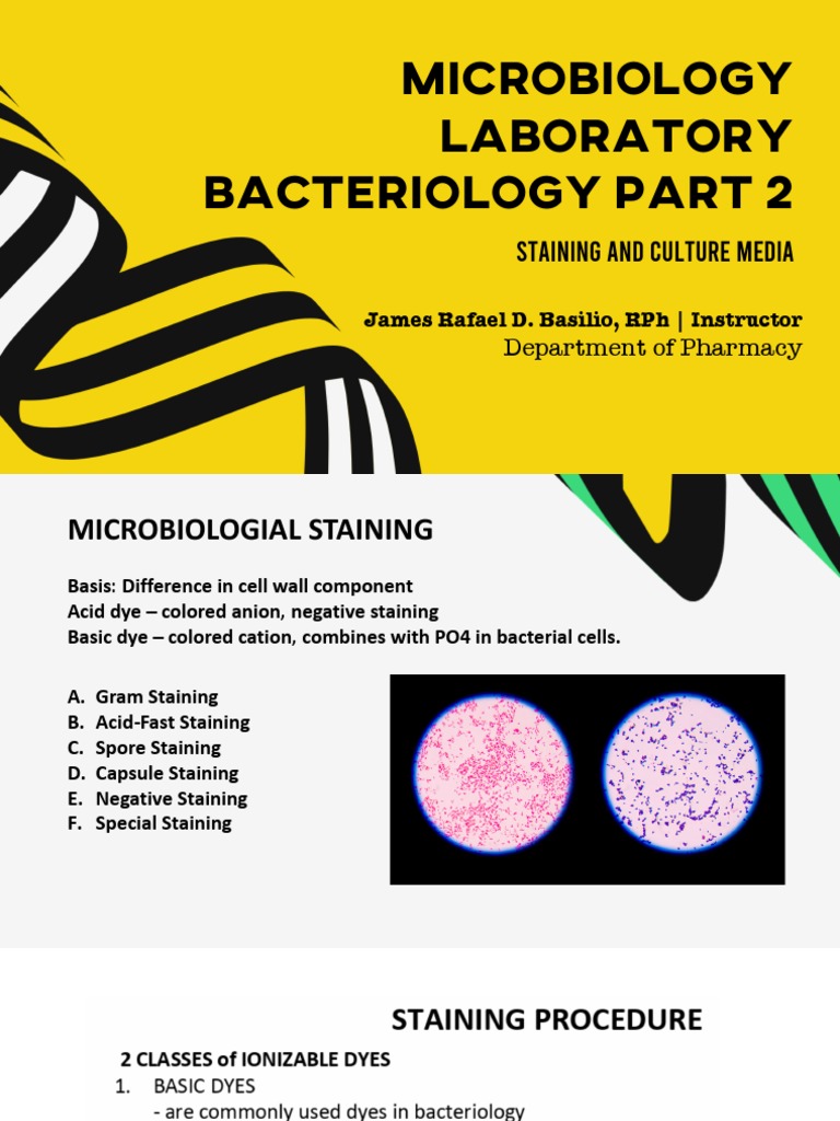 Bacteriology Part 2 PDF Growth Medium Staining