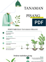 All About Pisang