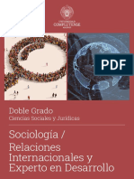 Sociología / Relaciones Internacionales y Experto en Desarrollo