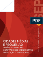 Cidades médias e pequenas: dinâmicas espaciais e perspectivas na relação cidade-campo