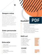 Orange Professional Cv Resume