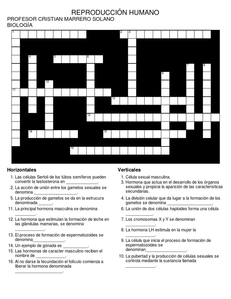 Crucigrama Reproducción Humana