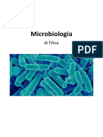 Microbiologia Di Filice
