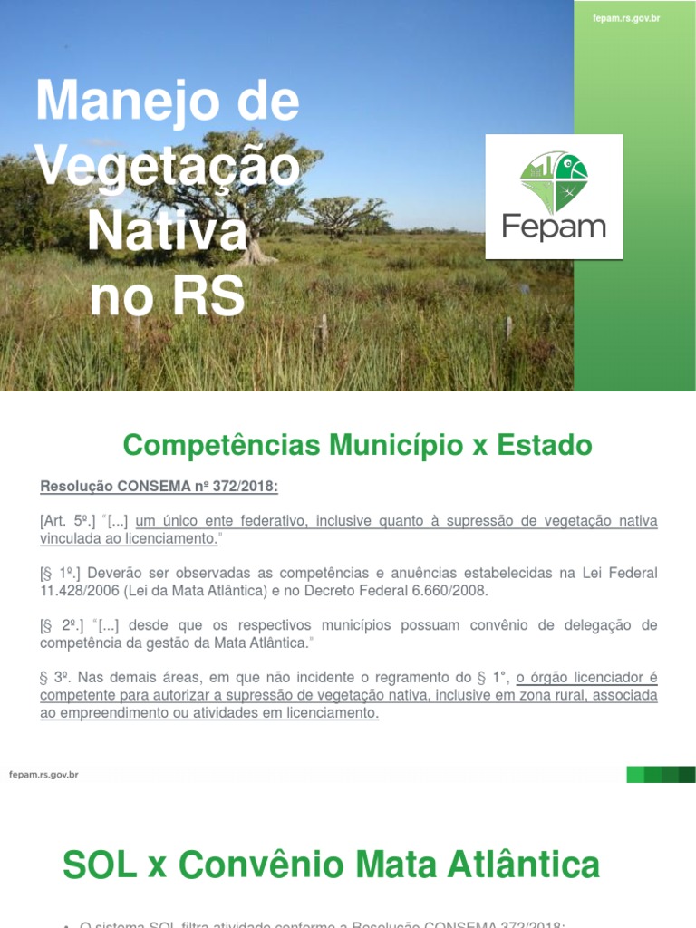 Manejo de Vegetação Nativa no RS | PDF | Vegetação | Ecologia