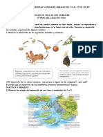 Guia de Trabajo Ciencias Naturales Semana Del 13 Al 17 de Julio