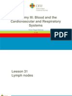 Lesson 31. Lymph Nodes