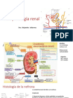 Fisiopatología Renal