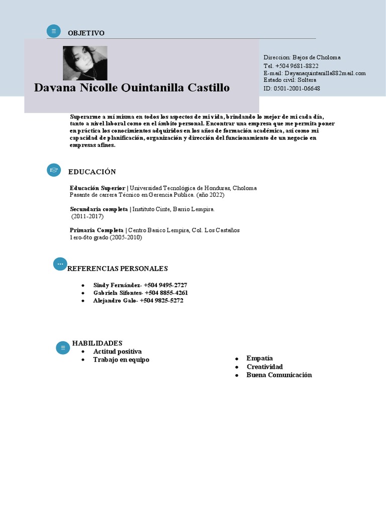 Perfil Profesional de Dayana Sifontes | PDF