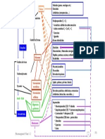 Farmacognosia U2 - 22 22 - Esquema de de Biogénesis de Alcaloides