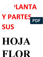 LA PLANTA Y PARTES