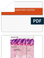 Integumentary System