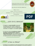 Biogas Grupo 4