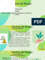 Gestión Del Riesgo: Paula Andrea Páez Química Esp. Gerencia Integral en Sistemas de Gestión de Calidad