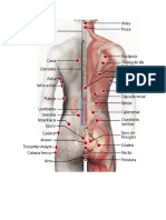 385860653 Puntos de Rastreo Biomagnetismo