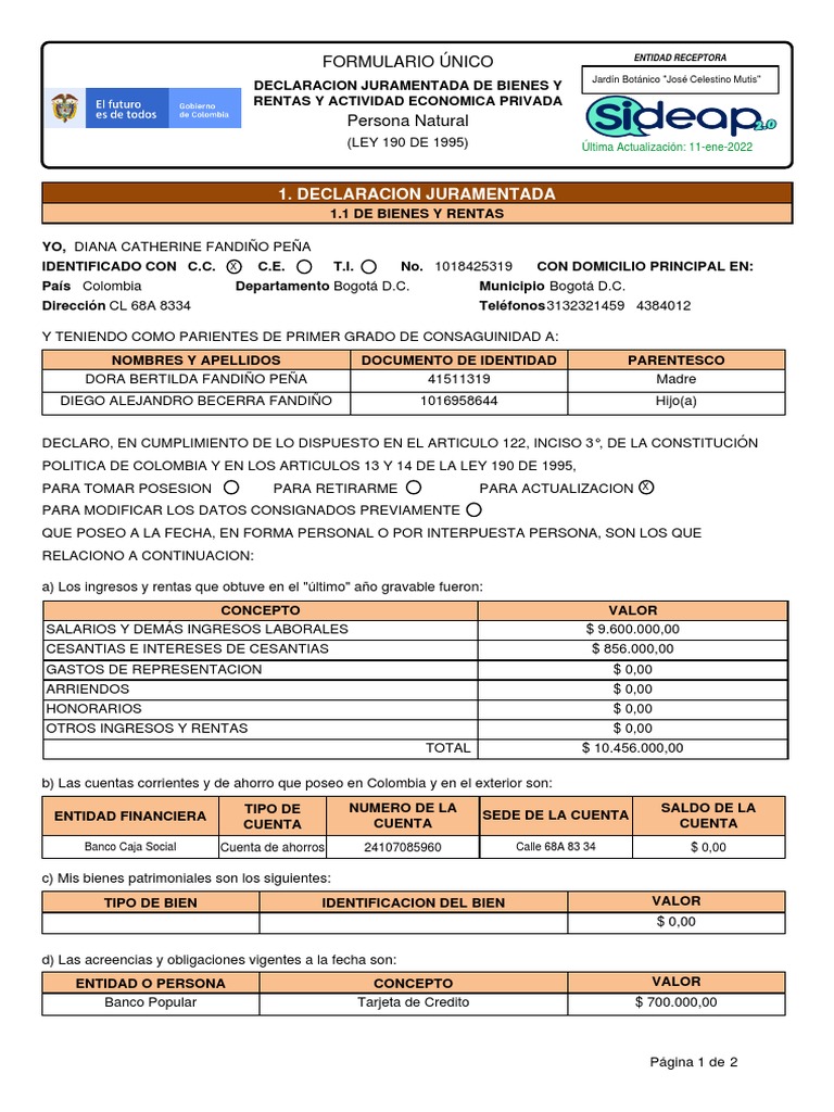 bienes-y-rentas-sideap-pdf-economias