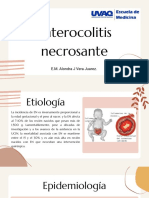 Enterocolitis Necrosante